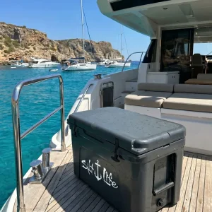 Alternative view of Signature Anchor Decal