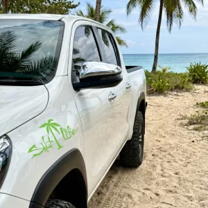 Alternative view of Signature Palm Tree Decal