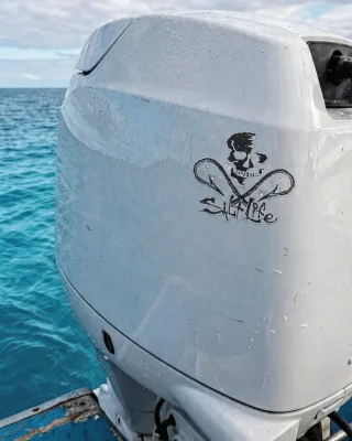 Hooked Skull Medium Decal